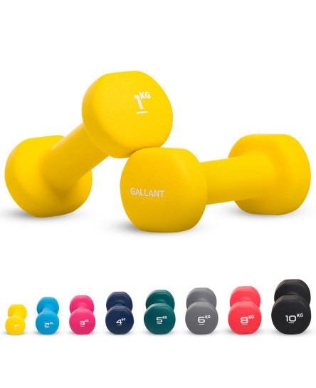 Neoprene Dumbbells Weights Pair Exercise Iron Hand Set Home Gym Fitness Aerobic